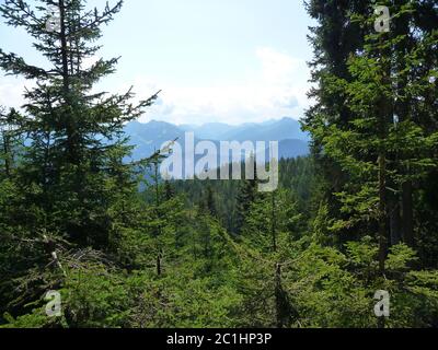 Paesaggio alpino Foto Stock