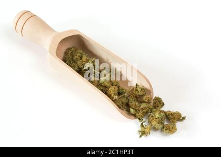 boccioli secchi di cannabis Foto Stock