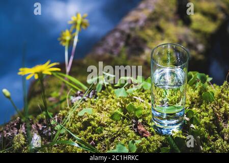 Acqua limpida in un vetro trasparente su uno sfondo di muschio verde con un fiume di montagna sullo sfondo. Cibo sano e enviro Foto Stock