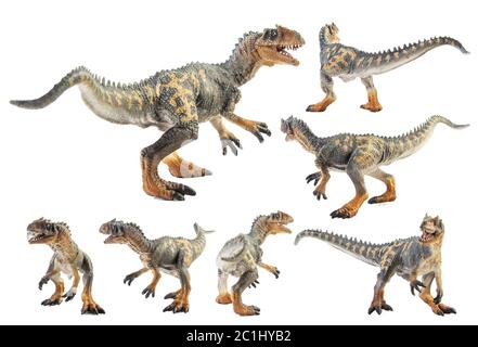 Allosaurus, dinosauro su sfondo bianco Foto Stock