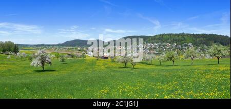 La molla prato con alberi in fiore sul bordo di un piccolo villaggio Foto Stock