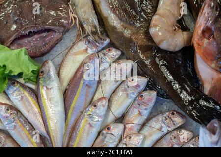 Frutti di mare su ghiaccio al mercato del pesce Foto Stock