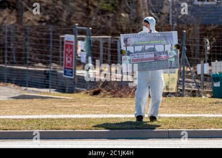Saint John, NB, Canada - 21 aprile 2020: Un uomo che indossa tute bianche e una maschera protesta spruzzando con un cartello sul lato della strada. Foto Stock