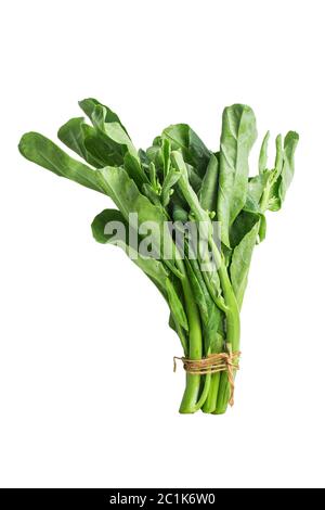Kale vegetale cinese isolato su sfondo bianco. Foto Stock
