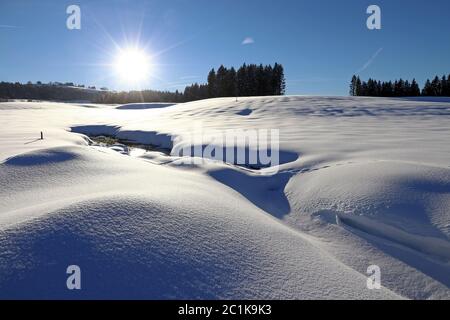 Bellissimo paesaggio invernale con un sacco di neve e colline di neve su un campo nella luce posteriore del sole Foto Stock