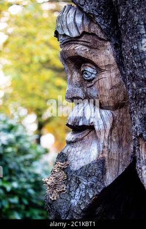 Testa scolpita in legno su un ceppo di albero Foto Stock