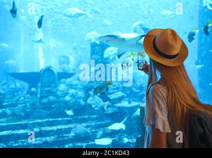 Sillouette della donna che scattano foto in un grande acquario Foto Stock