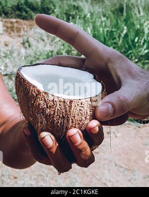 Donna dello Sri Lanka che dà un cocco aperto da bere ad un giovane uomo bianco. Vista ravvicinata con le mani e il dado. Acqua di cocco fresca da bere per la salute Foto Stock