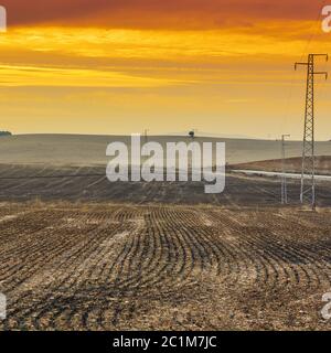 Linee elettriche sui tralicci Foto Stock