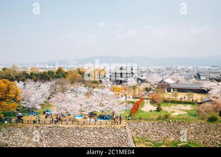 Parco del castello di Koriyama con fiori di ciliegio a Nara, giappone Foto Stock