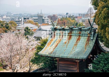 Parco del castello di Koriyama con fiori di ciliegio a Nara, giappone Foto Stock