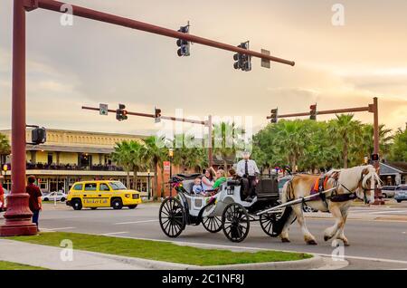 I turisti possono fare un tour del centro città in carrozza trainata da cavalli, il 10 aprile 2015, a St. Augustine, Florida. Foto Stock