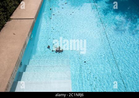 Sporca la piscina che necessitano di essere puliti close-up Foto Stock