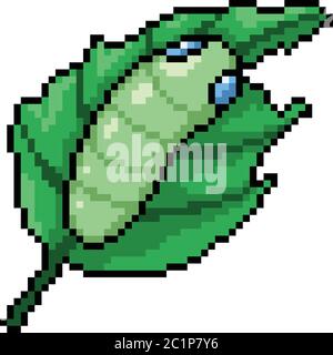 vettore pixel art worm foglia isolato cartone animato Illustrazione Vettoriale