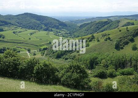 Nel Kaiserstuhl interno Haselschacher Buck Badberg e Mondhalde Foto Stock