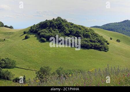 Vista sulla Haselschacher Buck nel Kaiserstuhl interno Foto Stock