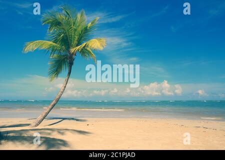 Palme sulla spiaggia tropicale bianca. Sfondo del viaggio. Foto Stock