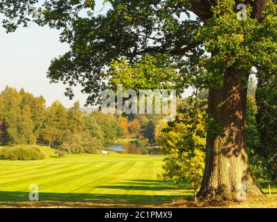 Vista verso il lago da un vecchio albero di querce nello Yorkshire Arboretum in una bella giornata autunnale, Yorkshire, Inghilterra Foto Stock