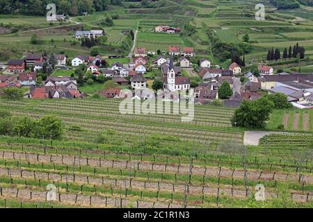 Vista sui vigneti di Bickensohl nella sedia imperiale Foto Stock