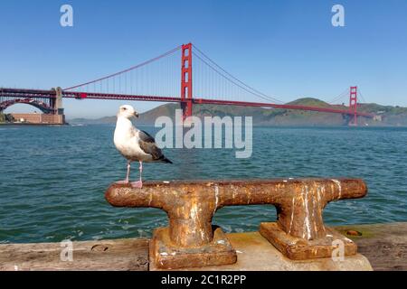San Franciscos Golden Gate Bride Foto Stock