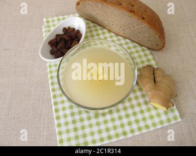 Kvass, birra fatta in casa con zenzero Foto Stock