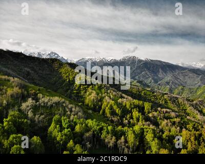 Vista aerea della foresta verde in splendide montagne durante il giorno di sole. Foto scattata con il drone Foto Stock