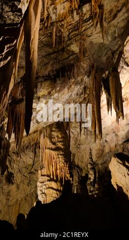 Interno della grotta di Postojna, alias Postojnska jama, Slovenia Foto Stock