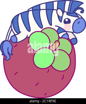 zebra bambino a strisce vettoriale piatta su mangosteen Illustrazione Vettoriale