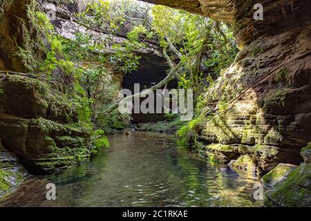 Fiume tra rocce, muschio, grotta e vegetazione nella foresta pluviale Foto Stock