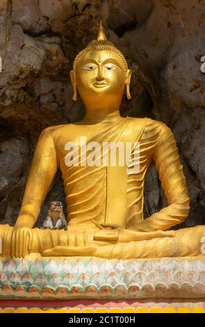 Scimmia sulla statua di Buddha nel tempio Foto Stock