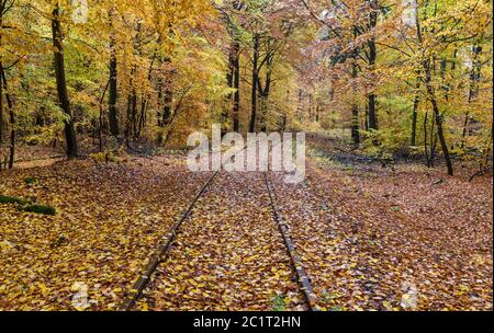 Vecchie e dimenticate piste ferroviarie in una colorata foresta d'autunno. Foto Stock