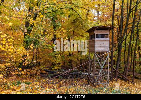 Allevato cieco in una foresta per la caccia. Foto Stock