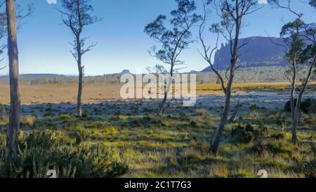 vista di mattina presto di mt oakleigh e fienile dalla nuova capanna pelio Foto Stock