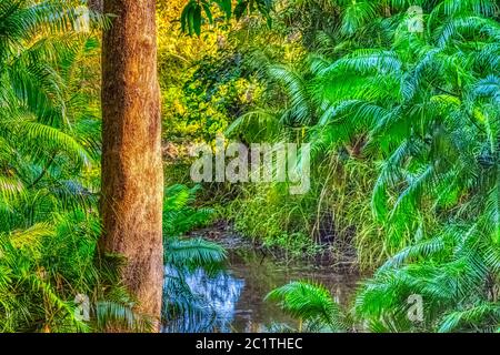 Giungla indiana - Jim Corbett National Park, India Foto Stock