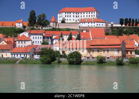 Il castello di Ptuj in Slovenia. Punto di riferimento medievale accanto al fiume Drava. Foto Stock