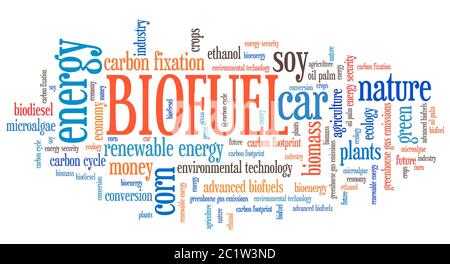 I biocarburanti - problemi di trasporto e di concetti tag cloud illustrazione. Word cloud concetto di collage. Foto Stock