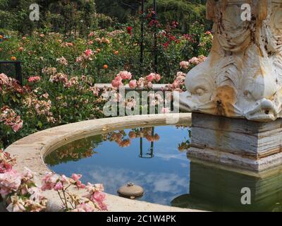 fontana nel giardino di rose del parco pubblico Retiro a Madrid Foto Stock