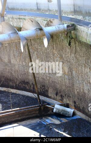 Spazzola per la pulizia della grondaia nel chiarificatore secondario di un impianto di trattamento delle acque reflue Foto Stock