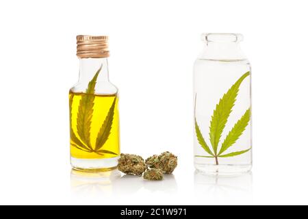 Olio di cannabis e estratto di alcol in bottiglie con boccioli di marijuana. Foto Stock