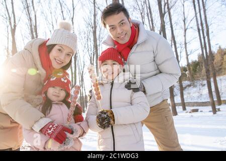 La neve con la famiglia felice di bacche ricoperte di zucchero Foto Stock