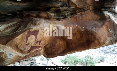 Dipinti di grotta e petroglifi Laas Geel vicino a Hargeisa Somalia Foto Stock