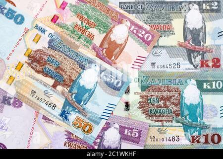 Soldi dallo Zambia, un background Foto Stock