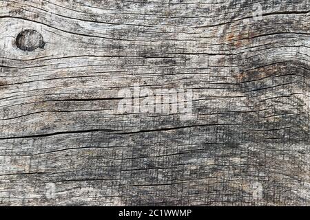 Sfondo in legno con linee e bushole. Tessitura di legno da una tavola di legno. Foto Stock