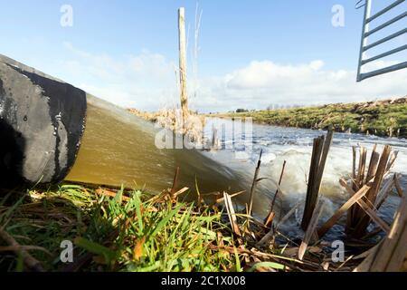 Terreni agricoli, eliminazione dell'acqua in eccesso, Paesi Bassi, Paesi Bassi del Nord, Beinsdorp Foto Stock