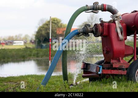 Terreni agricoli, eliminazione dell'acqua in eccesso, Paesi Bassi, Paesi Bassi del Nord, Beinsdorp Foto Stock