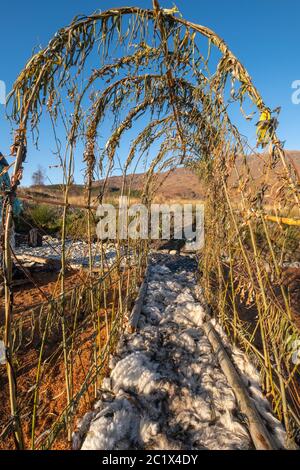 Giardino sensoriale, Lochcarron, Strathcarron, Ross-shire Foto Stock