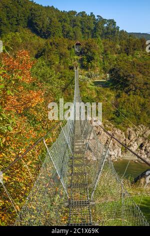 Nuovo Zealands swing più lungo ponte sul Buller Gorge Foto Stock