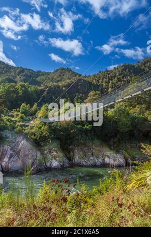 Nuovo Zealands swing più lungo ponte sul Buller Gorge Foto Stock