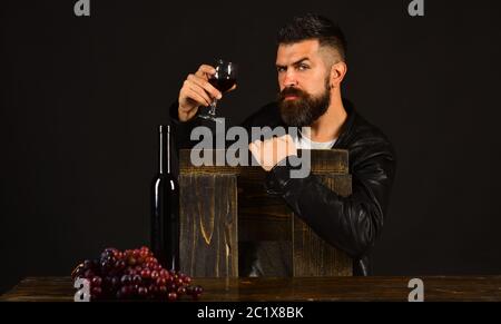 Degustazione e degustazione di vini. Il sommelier si appoggia su una sedia di legno. L'uomo con la barba tiene un bicchiere di vino su sfondo marrone scuro. Degustator con viso serio si siede in bottiglia di vino e uva scura Foto Stock