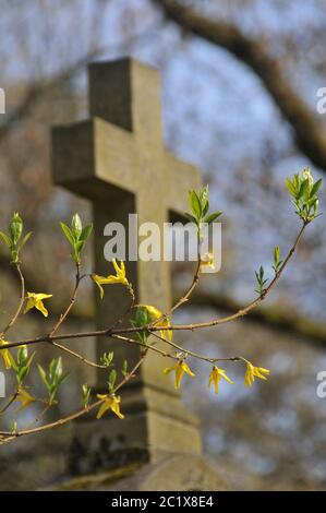 croce nella molla Foto Stock